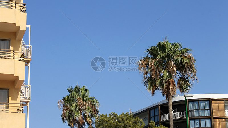 行业背景：民宿市场的崛起与管理系统的重要性